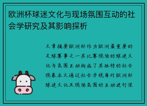 欧洲杯球迷文化与现场氛围互动的社会学研究及其影响探析 欧洲杯球迷文化与现场氛围互动的社会学研究及其影响探析