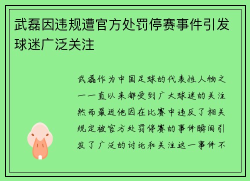 武磊因违规遭官方处罚停赛事件引发球迷广泛关注 武磊因违规遭官方处罚停赛事件引发球迷广泛关注