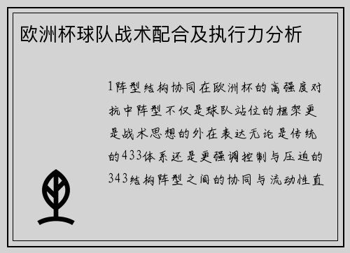 欧洲杯球队战术配合及执行力分析